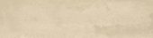 Grand Cayman East End Biscuit 3x12  Bullnose | LA TERRA STONE