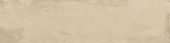 Grand Cayman East End Biscuit 3x12  Bullnose | LA TERRA STONE