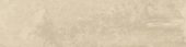 Grand Cayman East End Biscuit 3x12  Bullnose | LA TERRA STONE