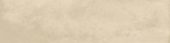 Grand Cayman East End Biscuit 3x12  Bullnose | LA TERRA STONE