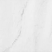 Bianco Venatino 12x12 Honed | LA TERRA STONE