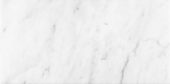 Bianco Venatino 12x24 Honed | LA TERRA STONE