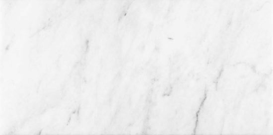 Bianco Venatino 12x24 Honed | LA TERRA STONE