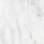 Bianco Venatino 18x18 Honed | LA TERRA STONE
