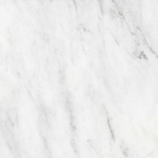 Bianco Venatino 18x18 Honed | LA TERRA STONE