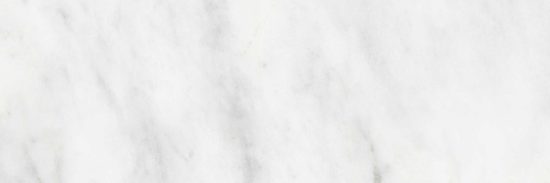 Bianco Venatino 6x18 Polished | LA TERRA STONE