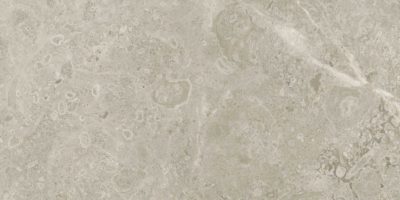 Ritz Gray 12×24