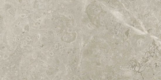 Ritz Gray 12x24 | LA TERRA STONE