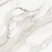 Royal Stoneworks 24X24 Calacatta Royale Honed | LA TERRA STONE