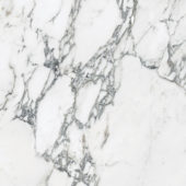 Royal Stoneworks 24X24 Italian Arabescato Honed | LA TERRA STONE