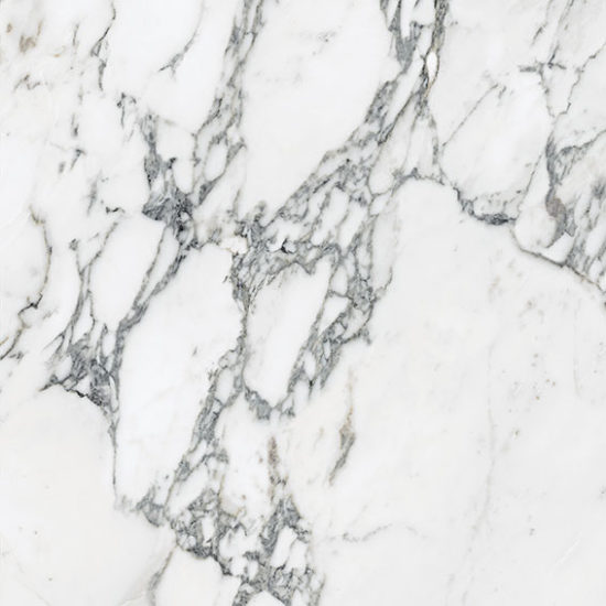 Royal Stoneworks 24X24 Italian Arabescato Polished | LA TERRA STONE