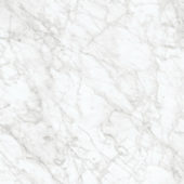 Royal Stoneworks 24X24 Old World Bianco Honed | LA TERRA STONE