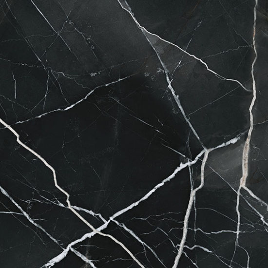 Royal Stoneworks 24X24 Regal Black Vein Vintage | LA TERRA STONE