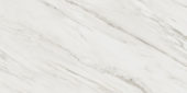 Royal Stoneworks 24X48 Italian Cream Vein Honed | LA TERRA STONE