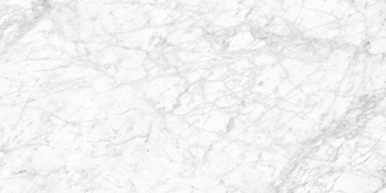 Royal Stoneworks 24X48 Old World Bianco Honed | LA TERRA STONE