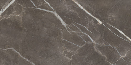 Royal Stoneworks 24X48 Regal Brown Marble Vintage Pv | LA TERRA STONE