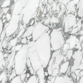 Royal Stoneworks 36X36 Italian Arabescato Honed | LA TERRA STONE