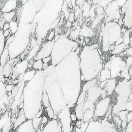 Royal Stoneworks 36X36 Italian Arabescato Honed | LA TERRA STONE