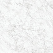 Royal Stoneworks 36X36 Old World Bianco Honed | LA TERRA STONE
