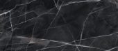 Royal Stoneworks 48X110 Regal Black Vein Honed | LA TERRA STONE