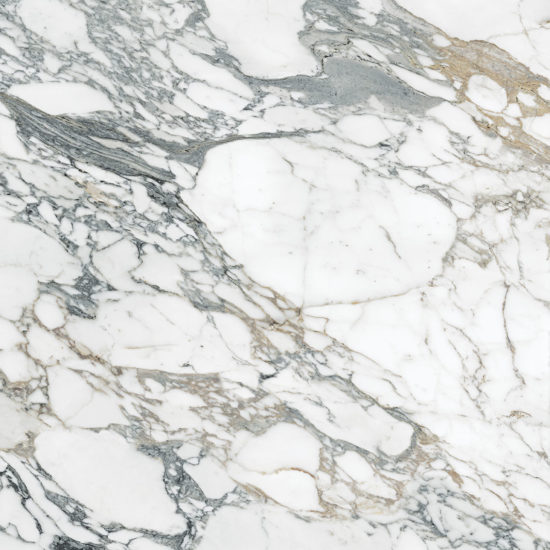 Royal Stoneworks 48X48 Italian Arabescato Honed | LA TERRA STONE