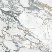 Royal Stoneworks 48X48 Italian Arabescato Polished | LA TERRA STONE