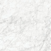 Royal Stoneworks 48X48 Old World Bianco Honed | LA TERRA STONE
