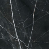 Royal Stoneworks 48X48 Regal Black Vein Honed | LA TERRA STONE