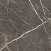 Royal Stoneworks 48X48 Regal Brown Marble Honed | LA TERRA STONE