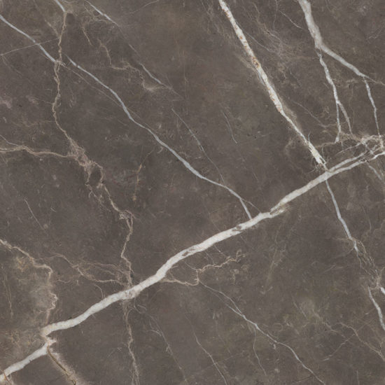 Royal Stoneworks 48X48 Regal Brown Marble Polished | LA TERRA STONE