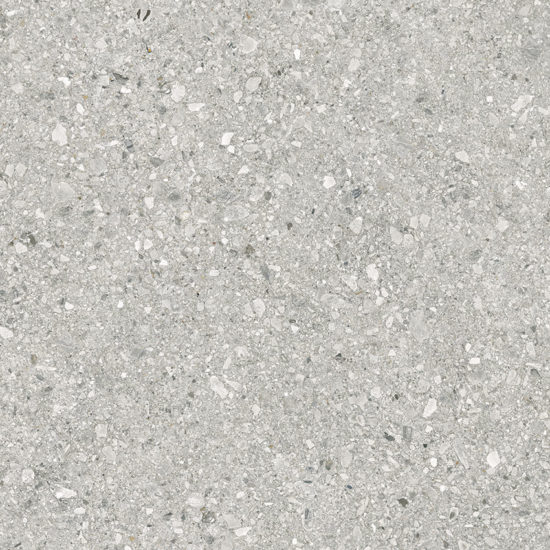 Royal Stoneworks 48X48 Regal Fossil Vein Honed | LA TERRA STONE
