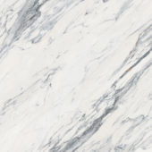 Royal Stoneworks 48X48 Regal White Vein Polished | LA TERRA STONE