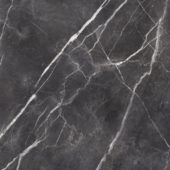 Royal Stoneworks 48X48 Tuscan Forge Vein Polished | LA TERRA STONE