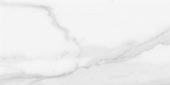 Plata 12x24 Statuario Brina Matte | LA TERRA STONE