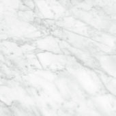 Plata 24x24 Carrara Abisso Matte | LA TERRA STONE