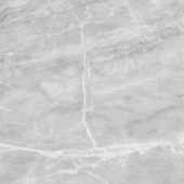 Plata 24x24 Perla Grigia Polished | LA TERRA STONE