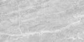 Plata 24x48 Perla Grigia Matte | LA TERRA STONE