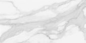 Plata 24x48 Statuario Brina Matte | LA TERRA STONE